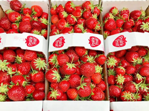 three boxes of upick strawberries