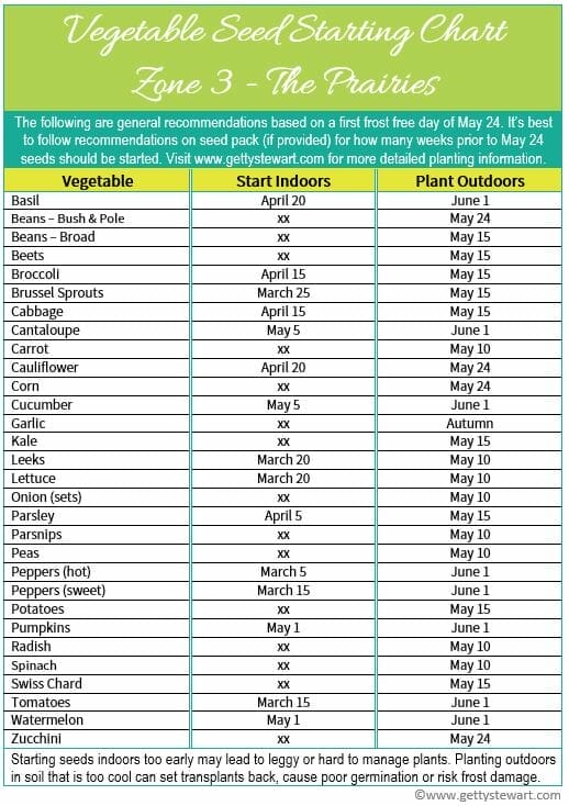 vegetable seed planting schedules