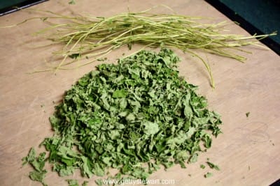 strip leaves from oregano