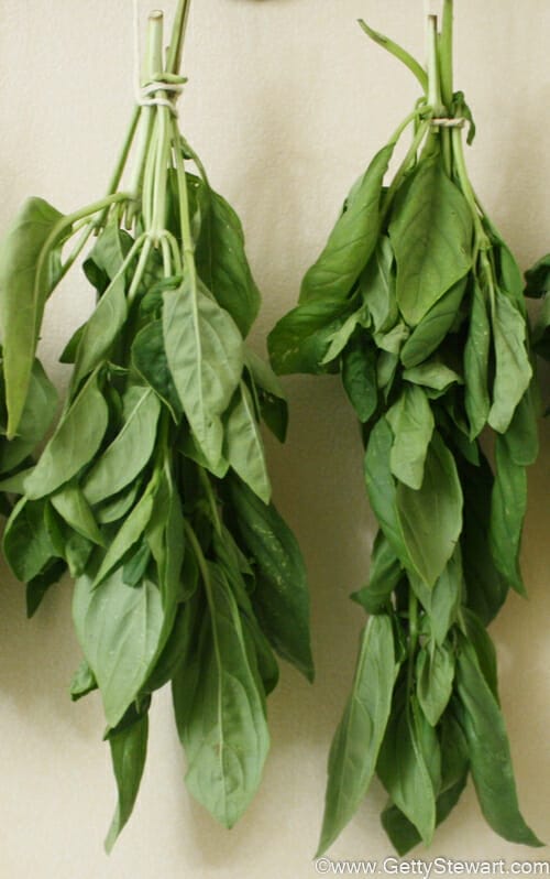 How to Preserve Basil