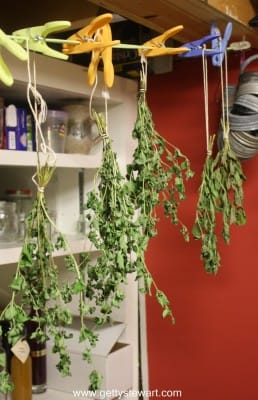 hanging herbs
