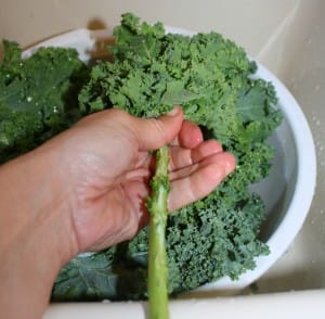 removing stem from kale