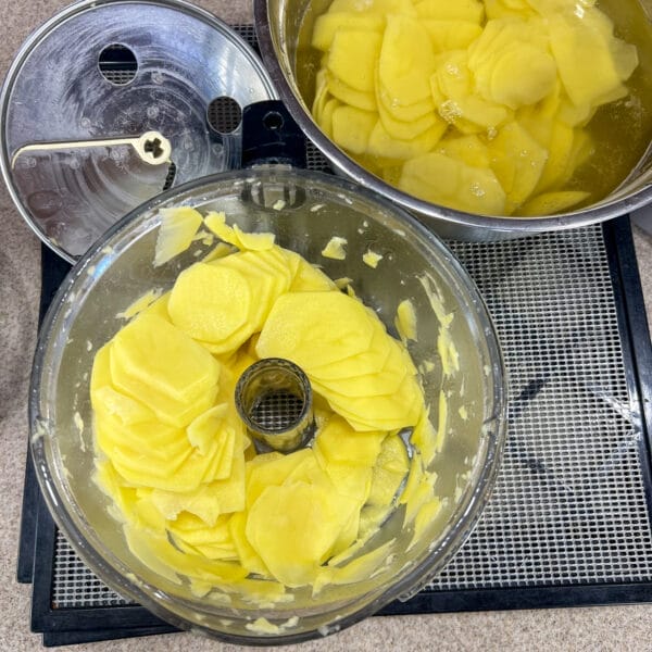 potato slices in food processor