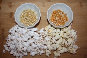The difference between white and yellow popcorn