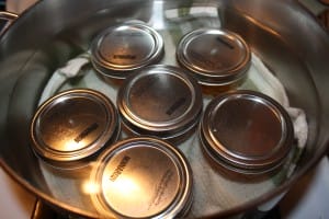 canning in a soup pot