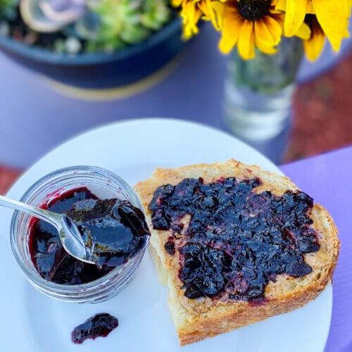 grape jelly on spoon and toast