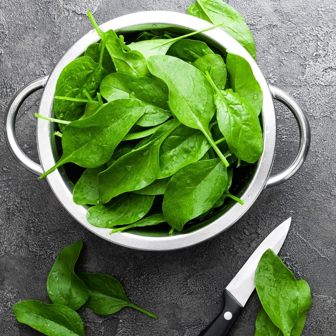 Frequently Asked Questions about Spinach