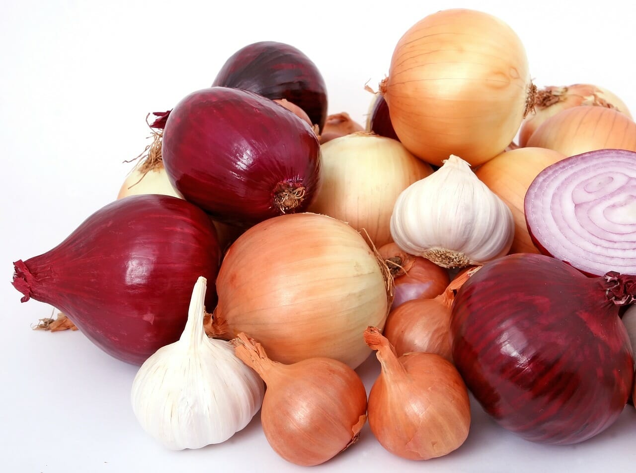 Best Substitutes For Onions - The Kitchen Community
