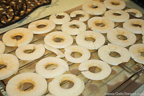 laying out apple rings