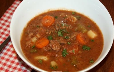 crockpot bison stew