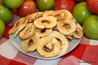 apple rings from the dehydrator