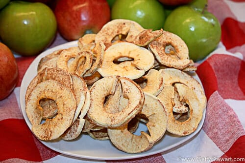 Magic Mill Dehydrator Review and Recipe for Cinnamon Apple Rings