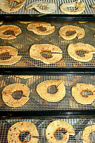 Magic Mill Dehydrator Review and Recipe for Cinnamon Apple Rings! 