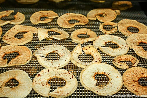 finished apple rings in dehydrator