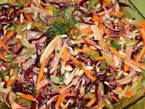 Fennel and Red Cabbage Coleslaw