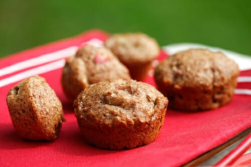 rhubarb bran muffins