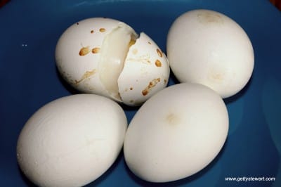 hard cooked eggs in the oven