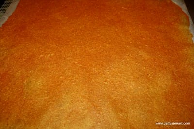 dry fruit leather sheet