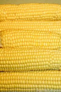 How to Plant Corn in the Garden