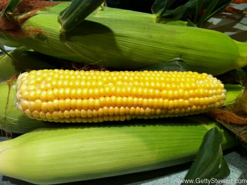 corn and husk