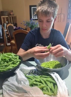 teenage boy shells peas - watermarked