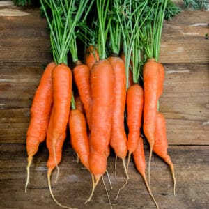 How to Harvest and Store Garden Carrots