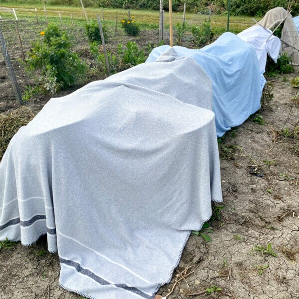 sheets and blankets covering garden