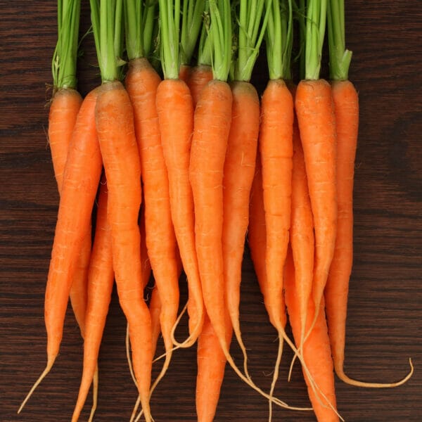 beautiful fresh carrots