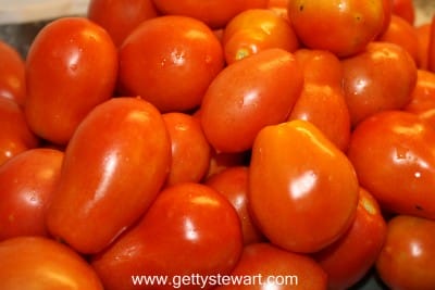 garden tomatoes