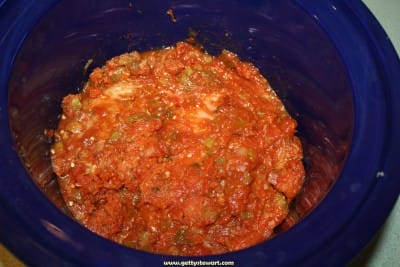 chicken spice and salsa