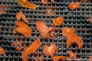dehydrated carrots on screen