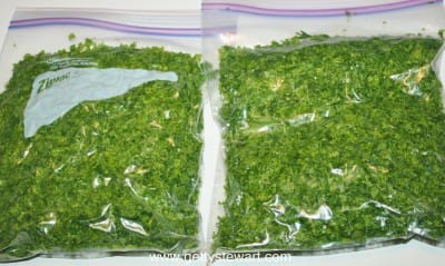 parsley in freezer bags harvest and freeze parsley