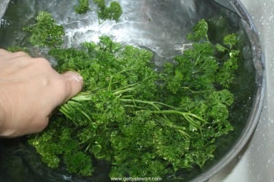 harvest and freeze parsley