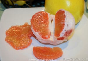 segment citrus