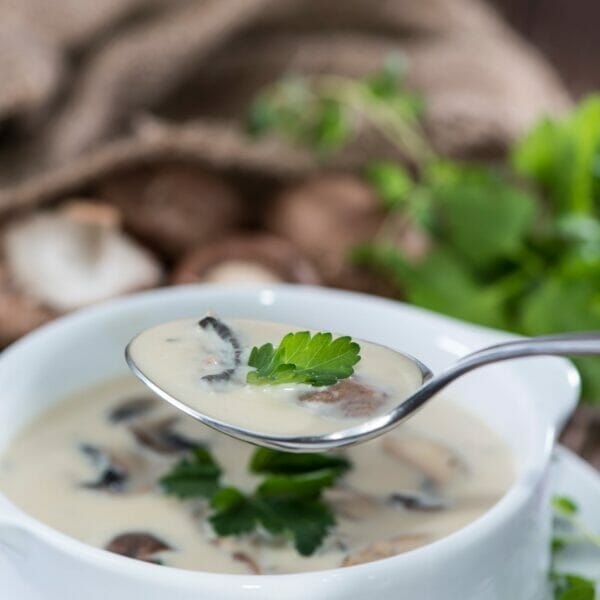 spoon in mushroom soup