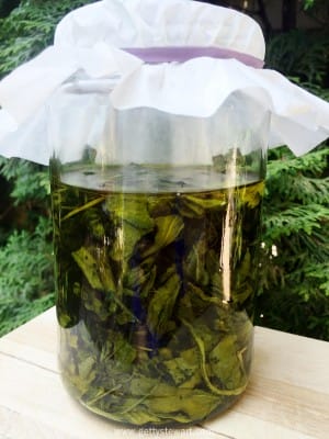 jar infusion - watermarked