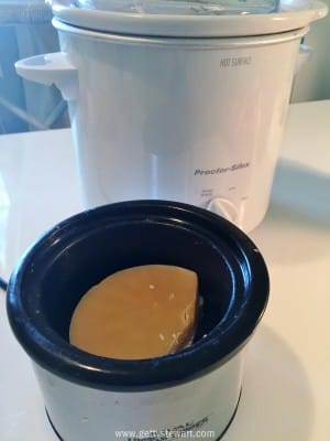 little crockpot for beeswax - watermarked