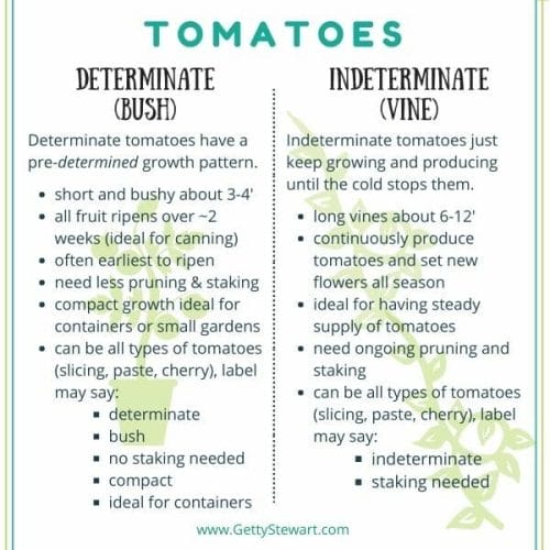 chart of type of tomatoes