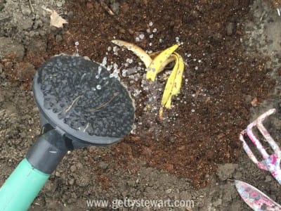 watering the banana - watermarked