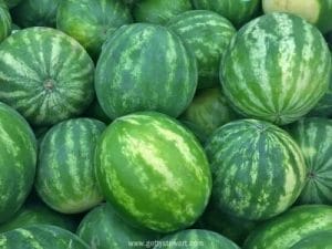 How to Select The Best Watermelons