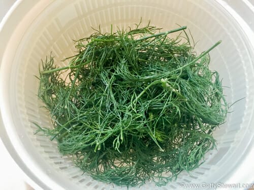 dry dill