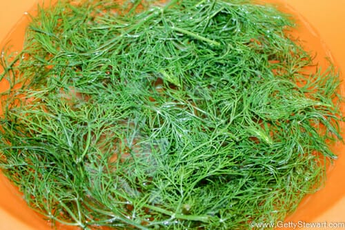 wash dill to freeze dill