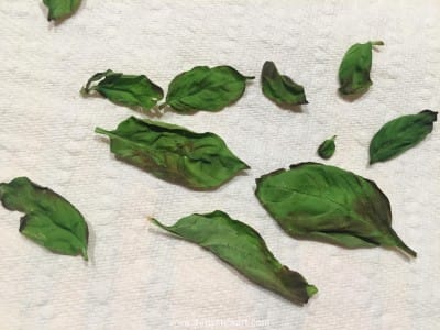 How to Dry Basil in the Microwave Getty Stewart