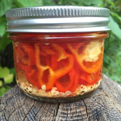 jar of pickled hot pepper rings - watermarked