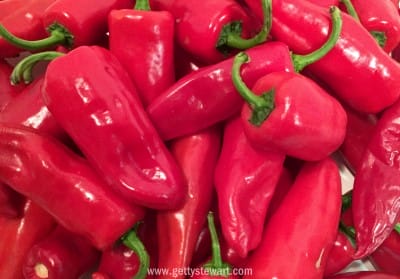pile of hot peppers w - watermarked