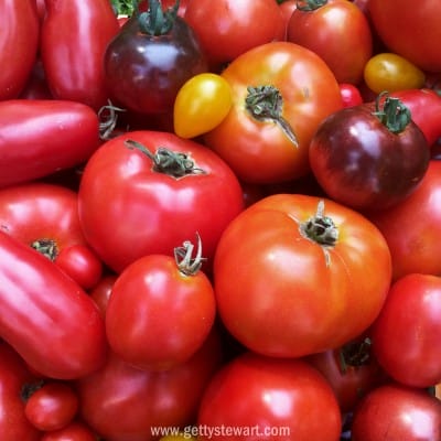 tomatoes - watermarked
