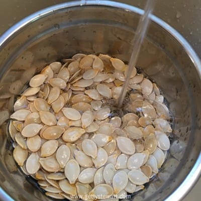 rinse seeds - watermarked