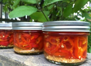 How to Make Homemade Hot Pepper Rings – Pickled Peppers