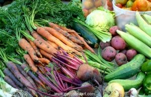 Six Questions Before Planning A Vegetable Garden