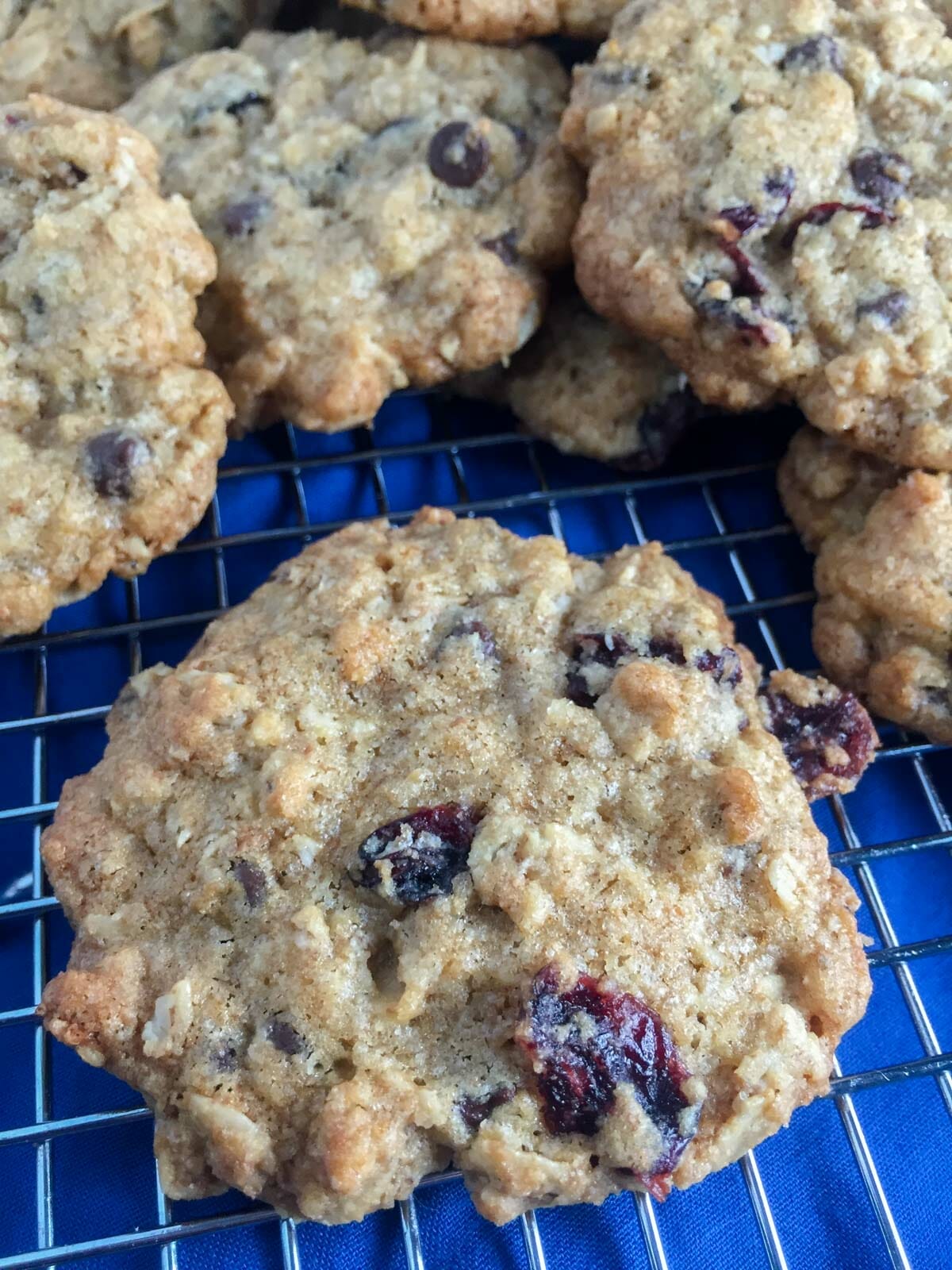 cranberry chocolate oat cookies on cooling rack